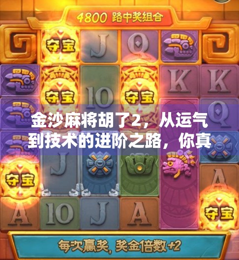 金沙麻将胡了2，从运气到技术的进阶之路，你真的懂麻将吗？